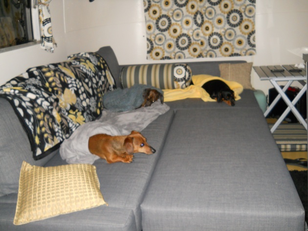 Sofa made in to bed.  The weenies love it!