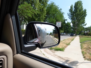 Midge in the side view mirror!