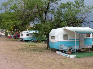 Cute Canned Hams for rent