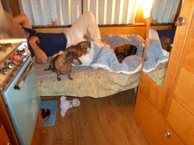 Hey! Make room for me!