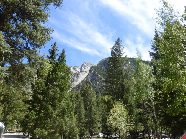 Mt. Princeton Campground, San Isabel NF