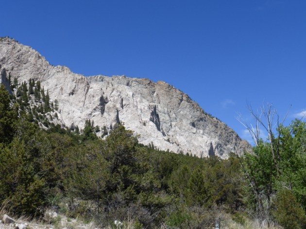 San Isabel National Forest