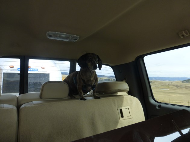 D0013EE0-95EF-4879-BCE5-BF38A2826461